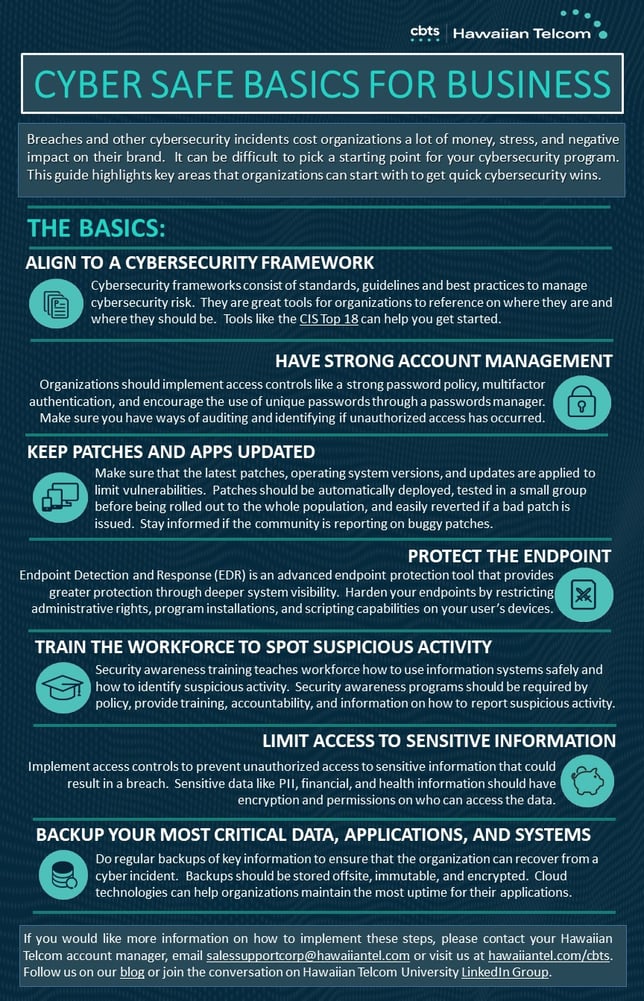 Cyber Safe Basics Guide For Business