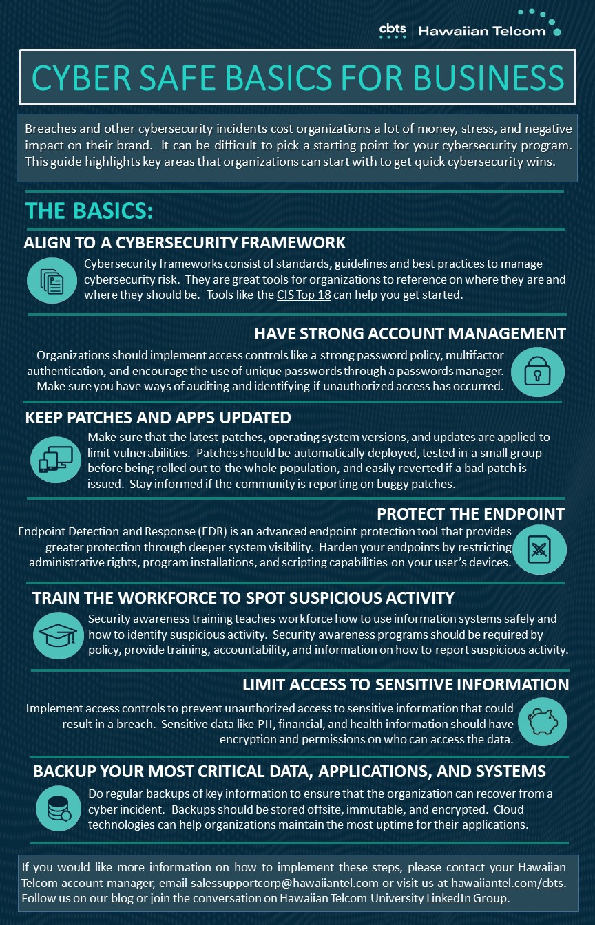 Cyber Safe Basics Guide For Business