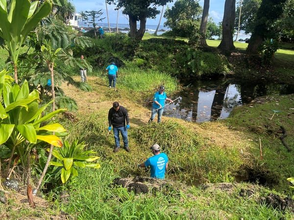 DITC 2024 Carlsmith Beach Cleanup