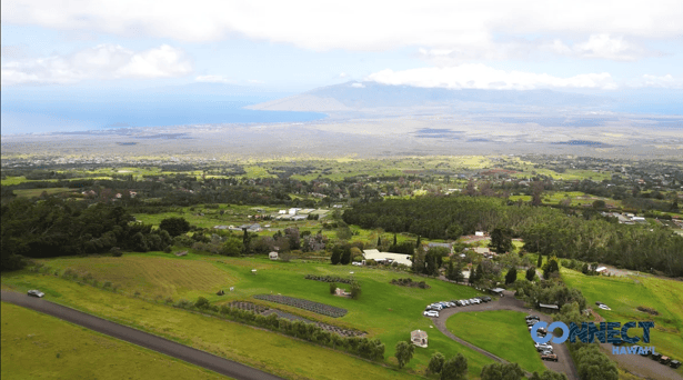 Ali‘i Kula Lavender Farm